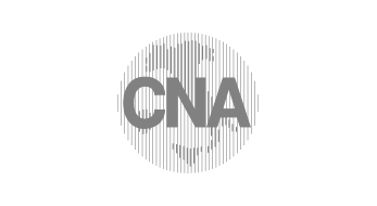 www.cnapisa.it